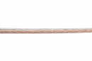  IC-IC25-100 