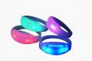  GIGBAND LED Zone 4 