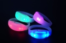  GIGBAND LED Zone 3 